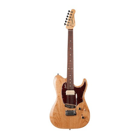 گیتار الکتریک گودین Godin Passion Custom Swamp ASH RN