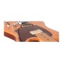 گیتار الکتریک گودین Godin Passion Custom Swamp ASH MN
