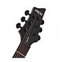 گیتار الکتریک شکتر Schecter Damien-6 Satin Black SKU #2470