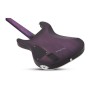گیتار الکتریک شکتر Schecter C 1 Platinum Satin Purple Burst