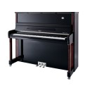 پیانو آکوستیک Irmler Model Van Gogh Polish Ebony