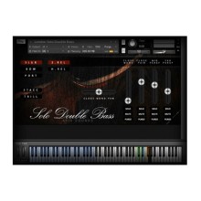 قیمت خرید فروش وی اس تی پلاگین آریا ساند Aria Sounds London Solo Double Bass