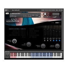 قیمت خرید فروش وی اس تی پلاگین آدیکت Auddict Master Solo Woodwinds Oboe