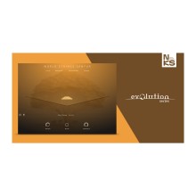 قیمت خرید فروش وی اس تی  Evolution Series World Strings Santur
