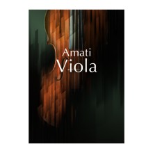 قیمت خرید فروش وی اس تی نیتیو اینسترومنتز Native Instruments Amati Viola