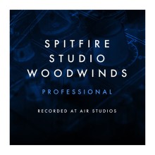 قیمت خرید فروش وی اس تی  Spitfire Audio Studio Woodwinds Professional