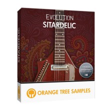 قیمت خرید فروش وی اس تی پلاگین  Orange Tree Samples Evolution Sitardelic