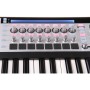میدی کنترلر نویشن Novation 61 SL MKII