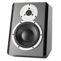 اسپیکر مانیتورینگ DynAudio DBM50