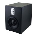 ساب ووفر مانیتورینگ EVE Audio TS108