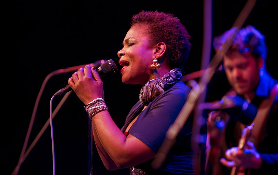 میکروفن با سیم Electro Voice ND96