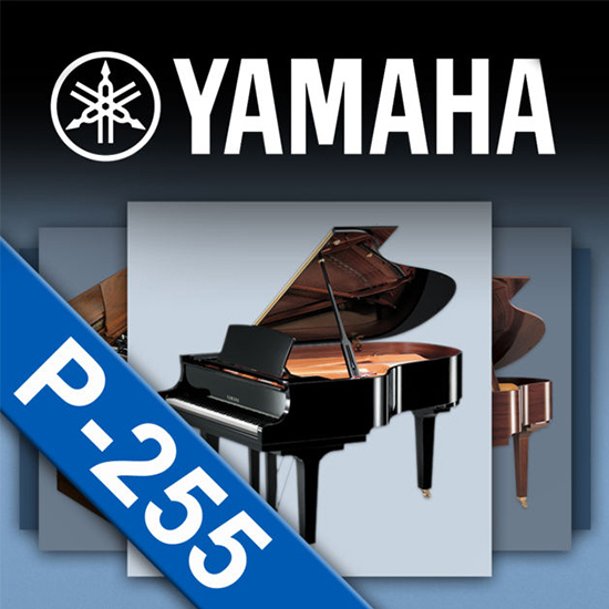 Yamaha P-255 B پیانو دیجیتال
