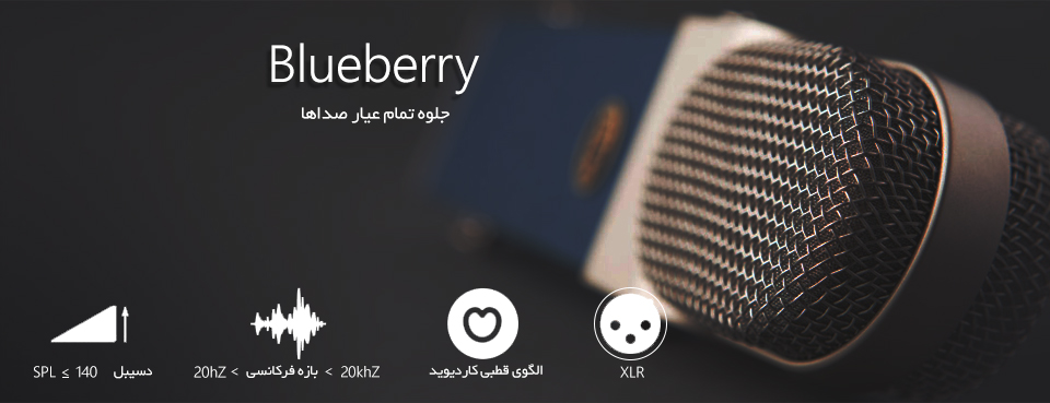میکروفن Blue Mic Blueberry