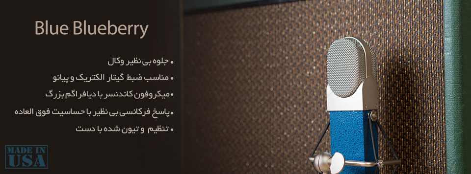 میکروفن Blue Mic Blueberry