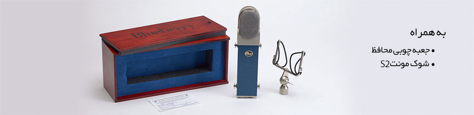 میکروفن Blue Mic Blueberry