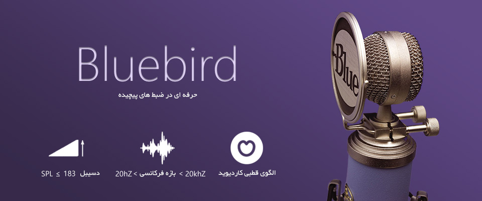 میکروفون بلو Blue Bluebird