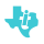 Texas Instruments