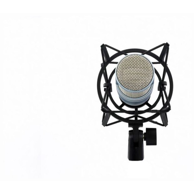 میکروفن ای کی جی AKG PERCEPTION 220