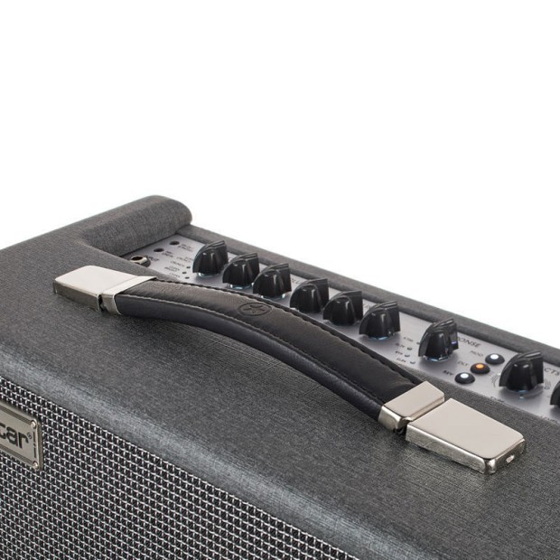 آمپلی فایر گیتار بلک استار Blackstar Silverline Standard 1x10" 20-watt Combo Amp
