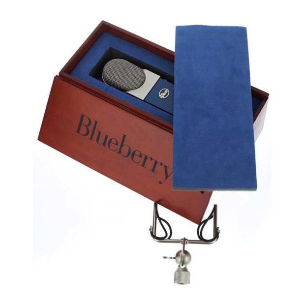 میکروفن بلو Blue Blueberry