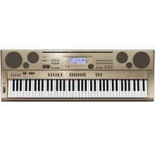 قیمت خرید فروش کیبورد ارنجر موسیقی کاسیو Casio AT-5