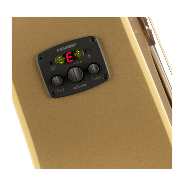 گیتار آکوستیک فندر Fender Redondo Player Bronze Satin