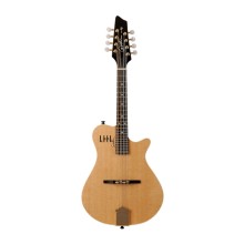 قیمت خرید فروش ماندولین گودین Godin A8 Mandolin