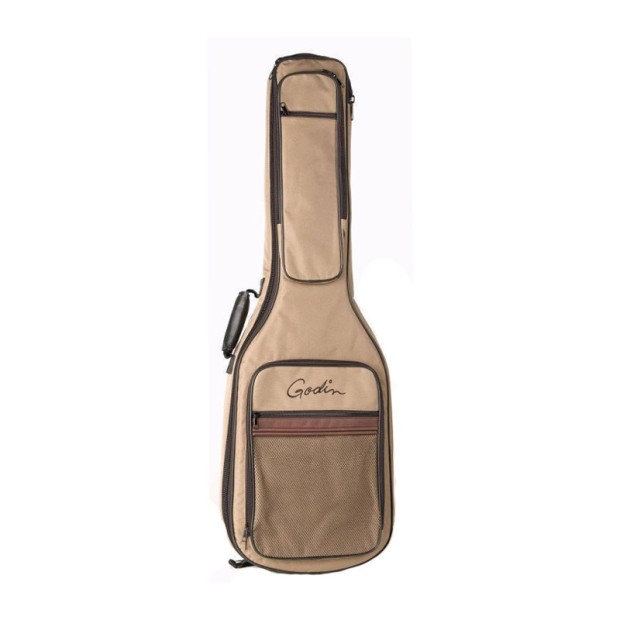 گیتار الکتریک گودین Godin LGXT Flame AAA