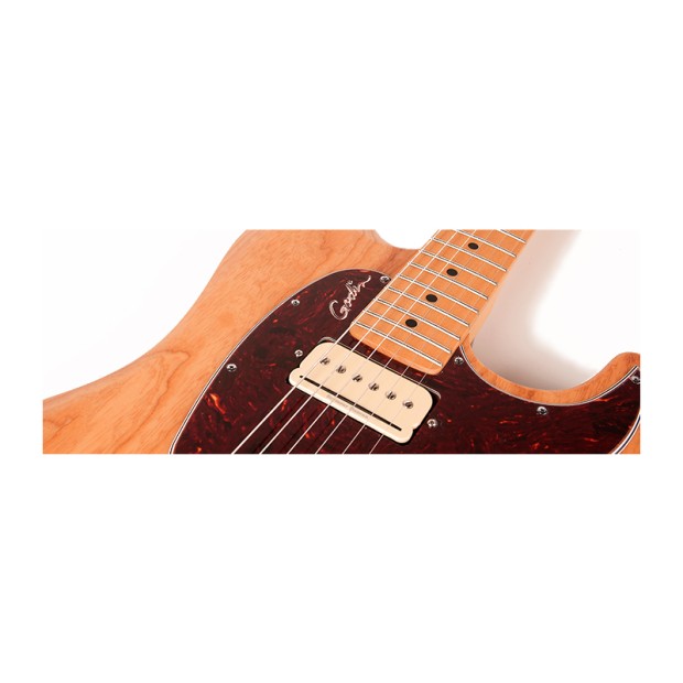 گیتار الکتریک گودین Godin Passion Custom Swamp ASH MN