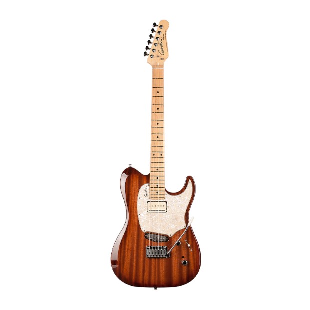 گیتار الکتریک گودین Godin Passion Custom Whiskey BST