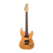 قیمت خرید فروش گیتار الکتریک گودین Godin Passion RG2