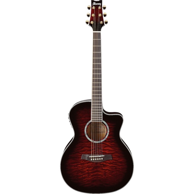 گیتار آکوستیک آیبانز IBANEZ A300E TCS