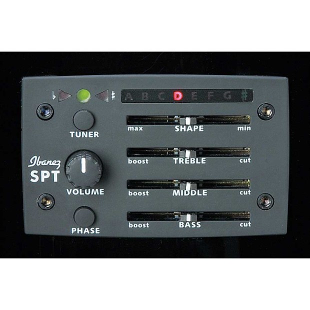 گیتار آکوستیک آیبانز IBANEZ AEB8E BK