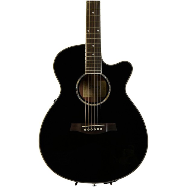 گیتار آکوستیک آیبانز IBANEZ AEG10E BK