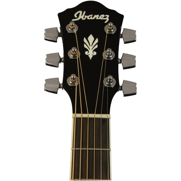 گیتار آکوستیک آیبانز IBANEZ AEG10E BK