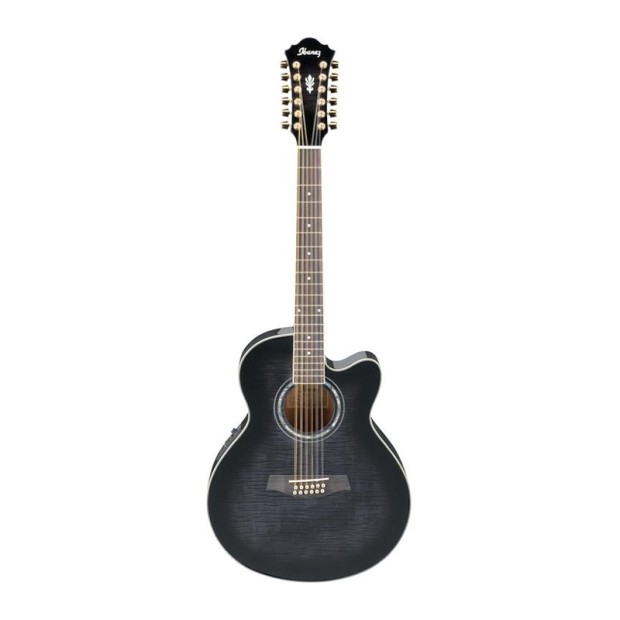 گیتار آکوستیک آیبانز IBANEZ AEL2012E TKS