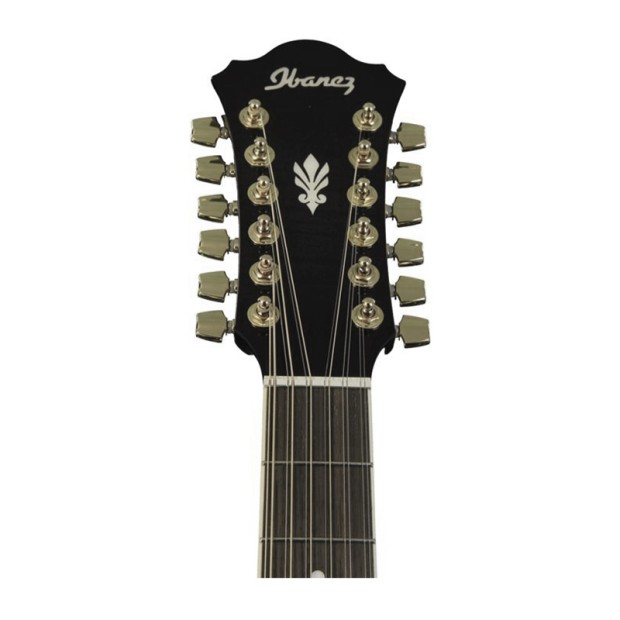 گیتار آکوستیک آیبانز IBANEZ AEL2012E TKS