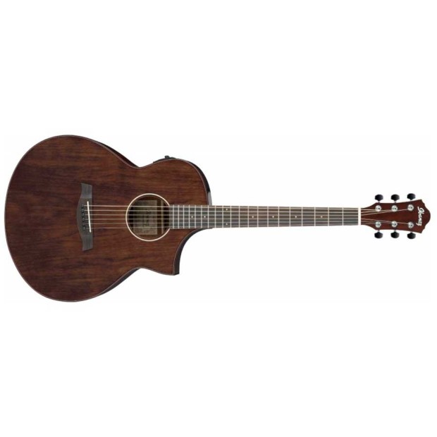 گیتار آکوستیک آیبانز Ibanez AEW40CD