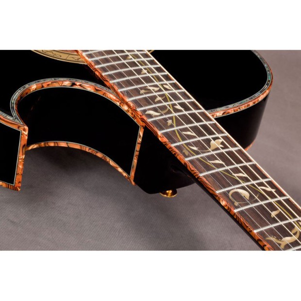 گیتار آکوستیک آیبانز IBANEZ EP10 BP