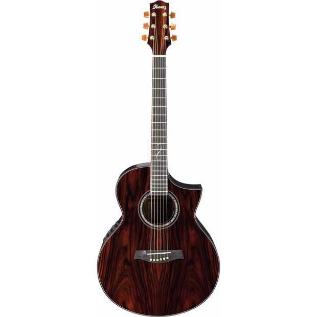 گیتار آکوستیک آیبانز IBANEZ EW50 CBE