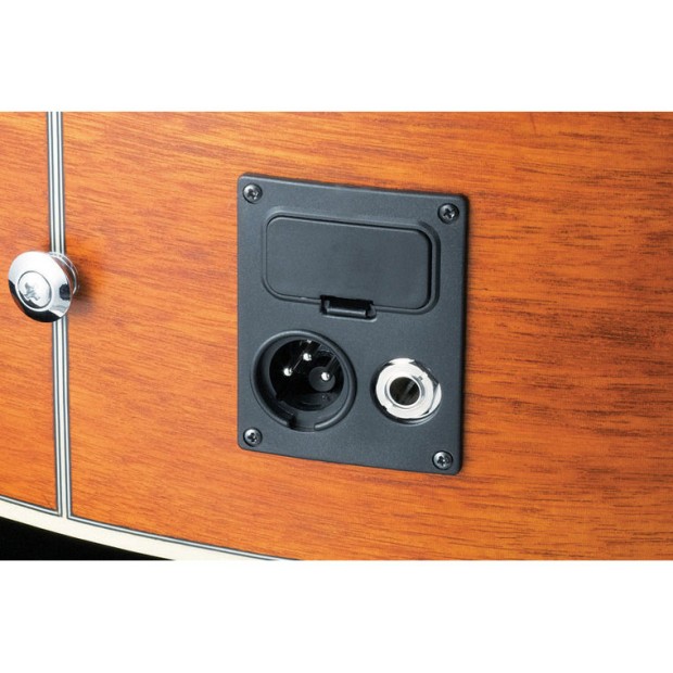 گیتار آکوستیک آیبانز IBANEZ EW50 CBE