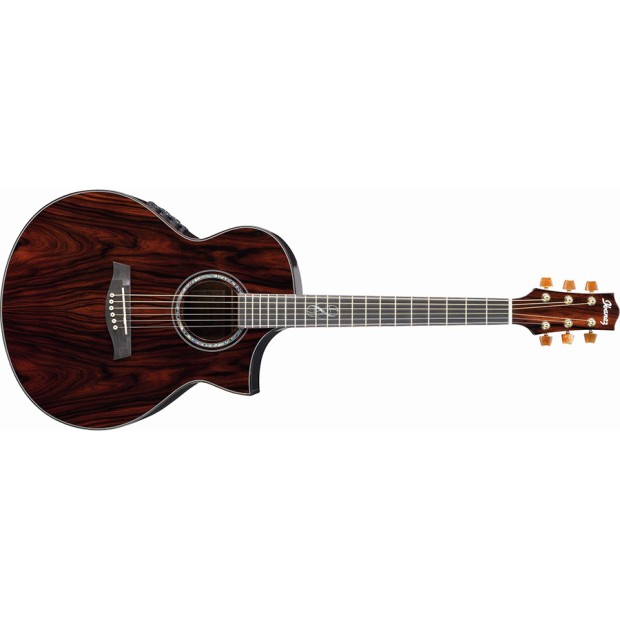 گیتار آکوستیک آیبانز IBANEZ EW50 CBE