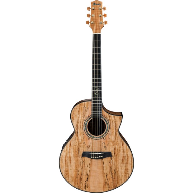 گیتار آکوستیک آیبانز IBANEZ EW50 SME