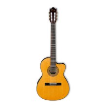 قیمت خرید فروش گیتار کلاسیک آیبانز Ibanez GA5TCE AM