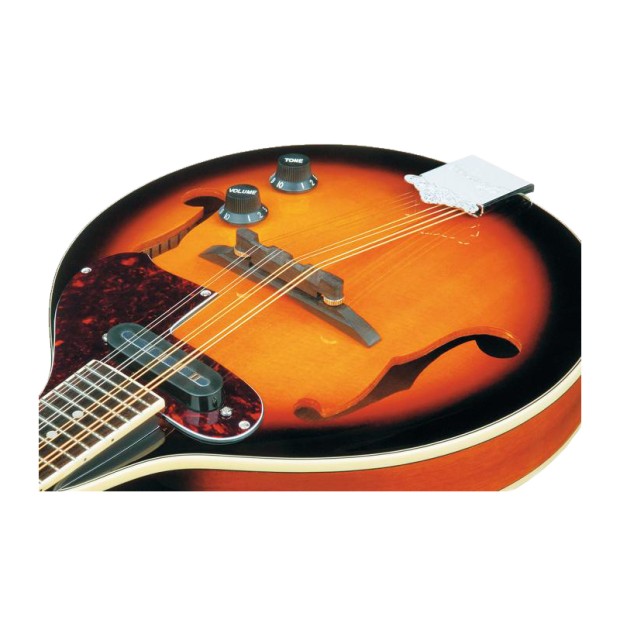 ماندولین آیبانز IBANEZ M510E BS