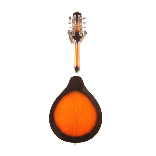 ماندولین آیبانز IBANEZ M510E BS