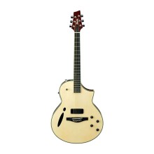 قیمت خرید فروش گیتار آکوستیک آیبانز IBANEZ MSC 380-NT