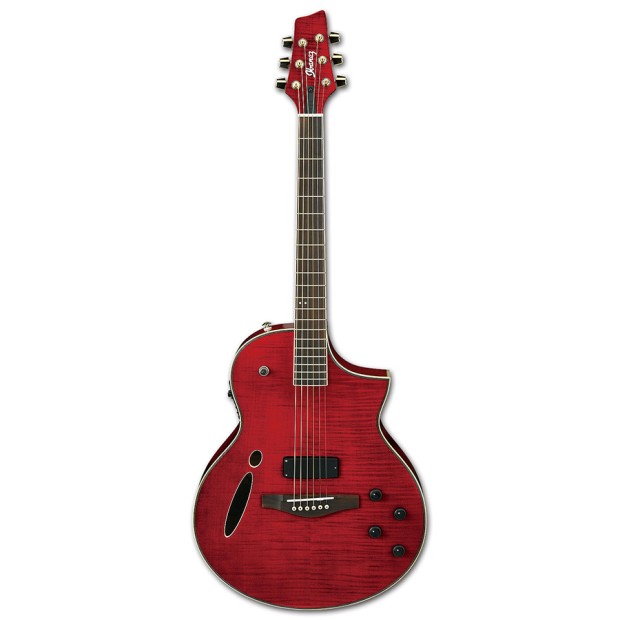 گیتار آکوستیک آیبانز IBANEZ MSC380FM TRD