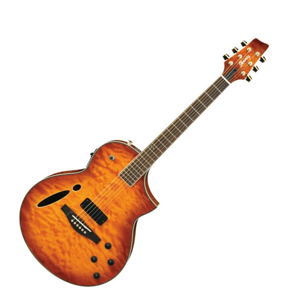 گیتار آکوستیک آیبانز IBANEZ MSC380QM VV