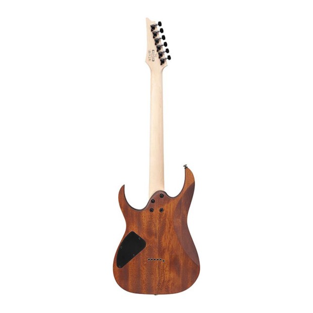 گیتار الکتریک آیبانز IBANEZ RG421 MOL